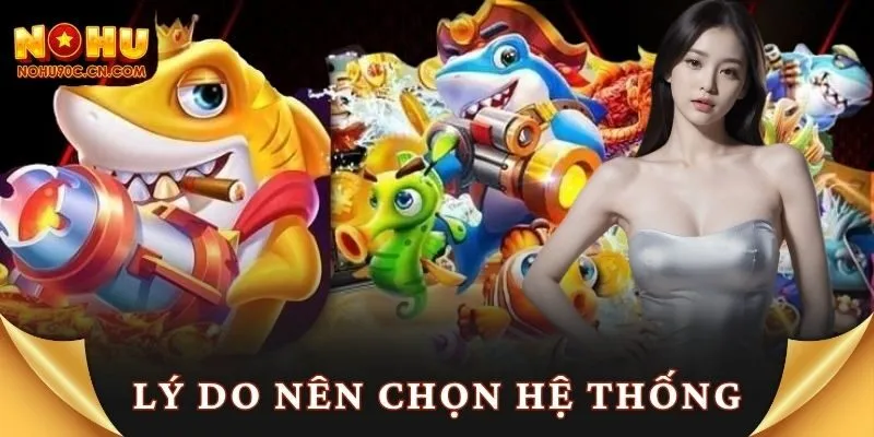 Lý do nên chọn hệ thống