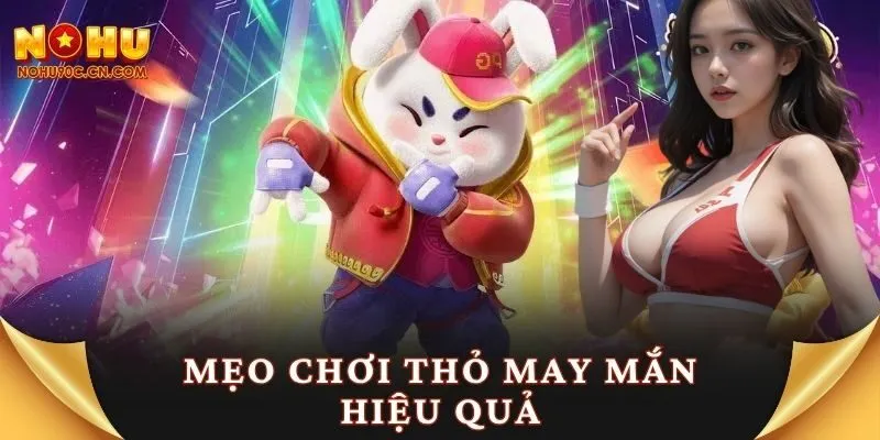 Mẹo chơi thỏ may mắn hiệu quả